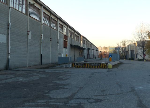 P1000558